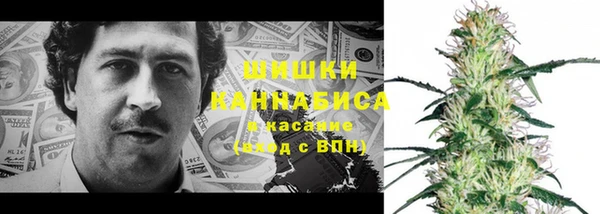 индика Абаза