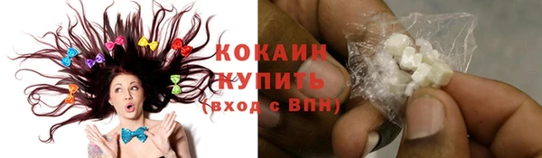 индика Абаза