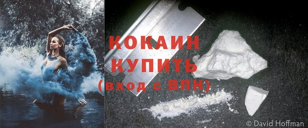 индика Абаза