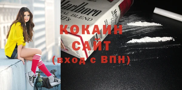 индика Абаза